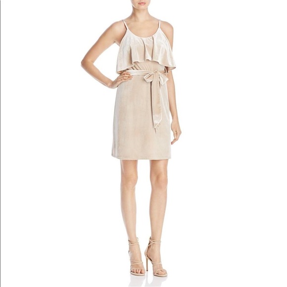Elliatt Dresses & Skirts - ELLIATT
Elliatt Velvet Cocktail Mini Dress
$180